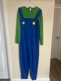 Costume Luigi large