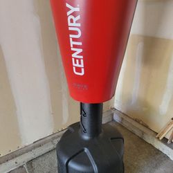 Freestanding Kickboxing Bag