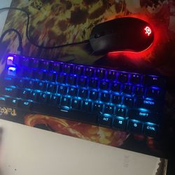 Apex 9 Mini And Steelseries Rival 3 Mouse