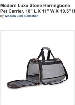 Modern luxe cheap pet carrier