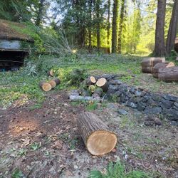 Free wood ( willing to deliver)