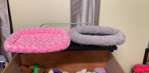 Rabbit and pet bed