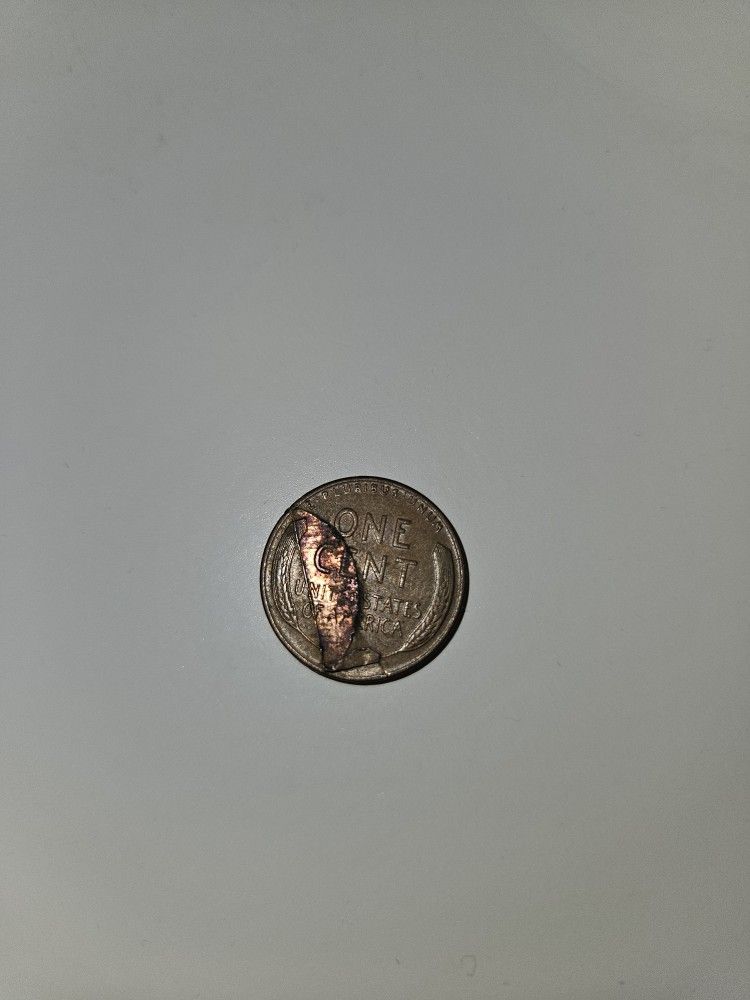 Extremely Rare Error Coin 1/1