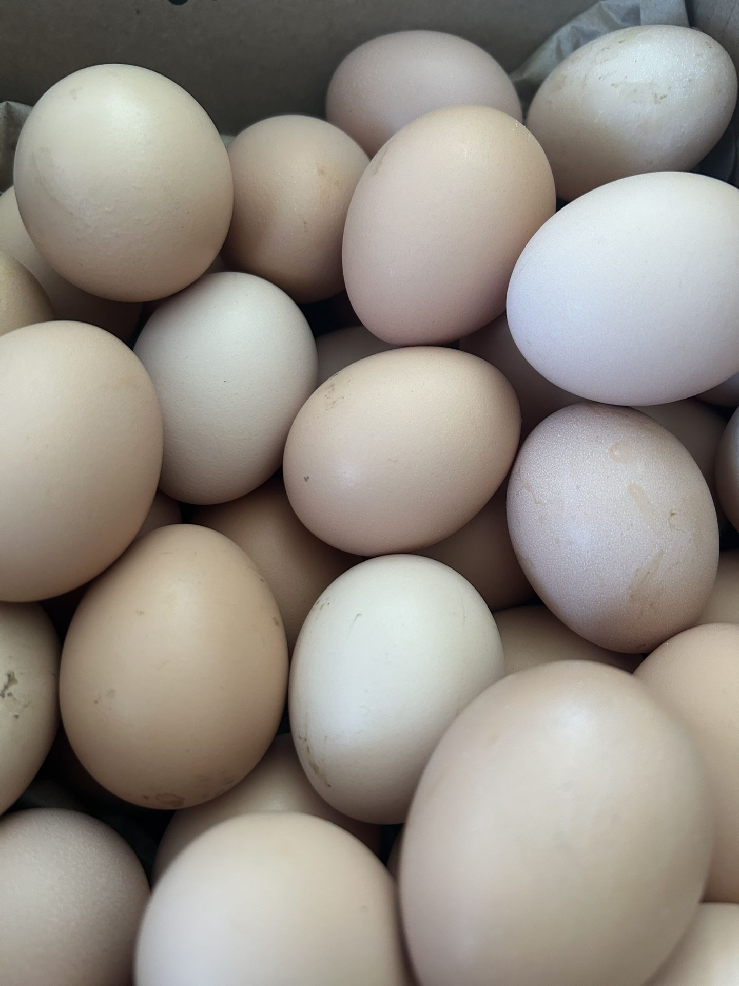 Huevos De Rancho