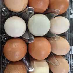 Eggs / Huevos Frescos