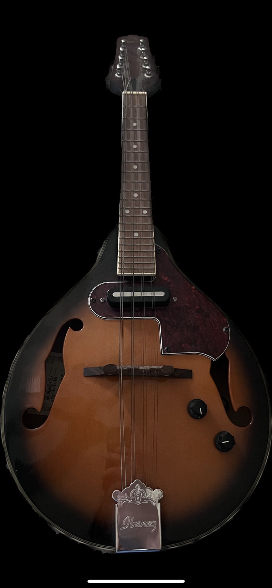 Ibanez Mandolin