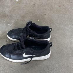 Sb Nike Shoe Size 8 Men’s