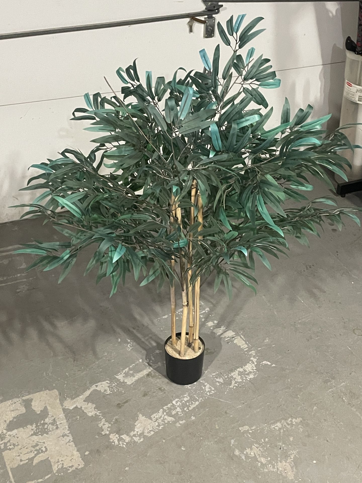 Skinny 4 Stick Plant