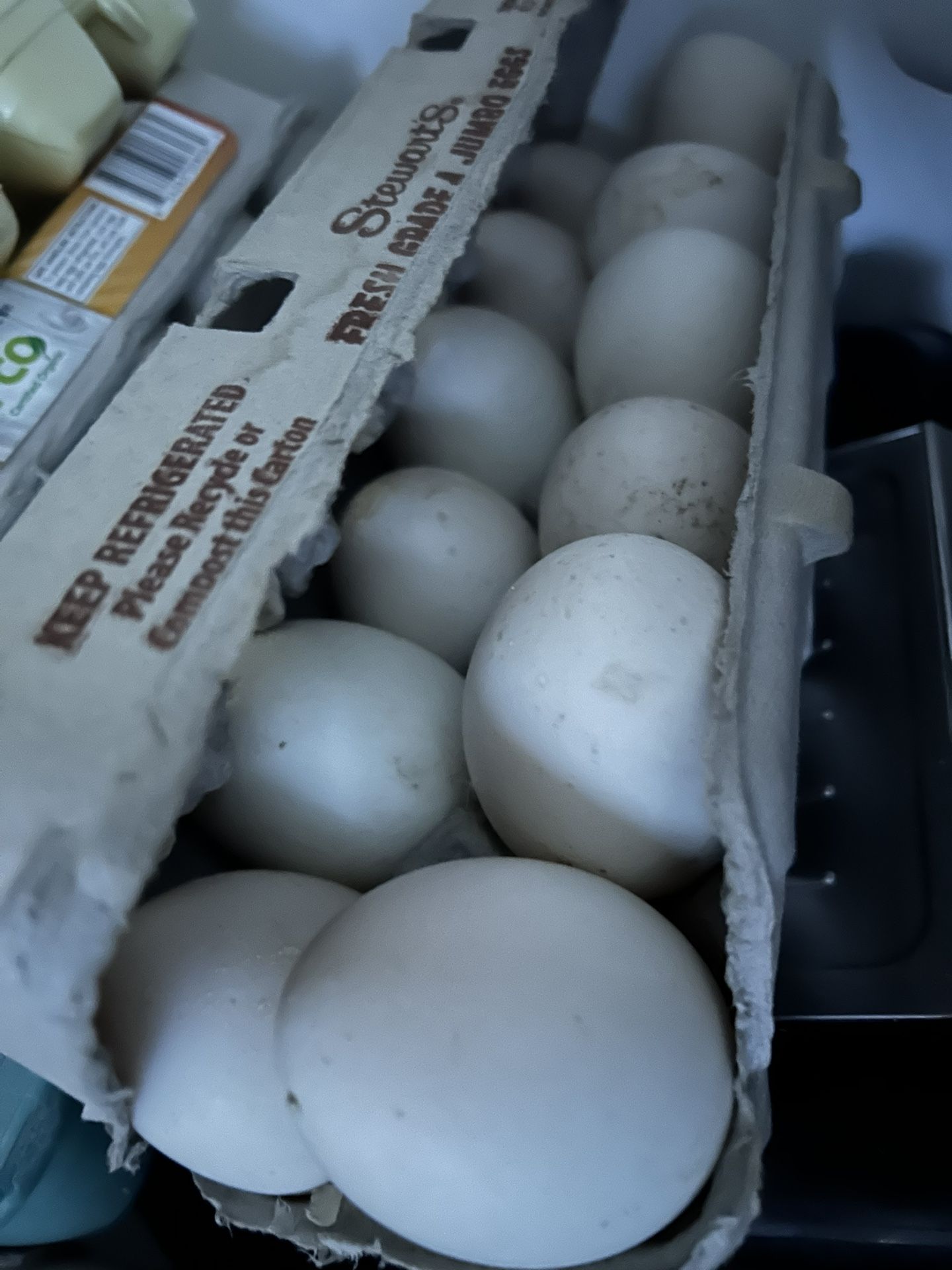 Fresh Duck Eggs