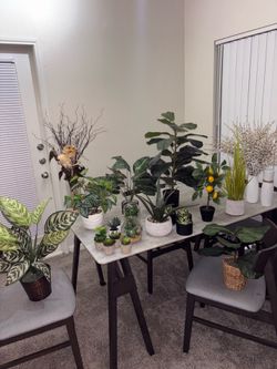 Assorted House Plants (artificial)