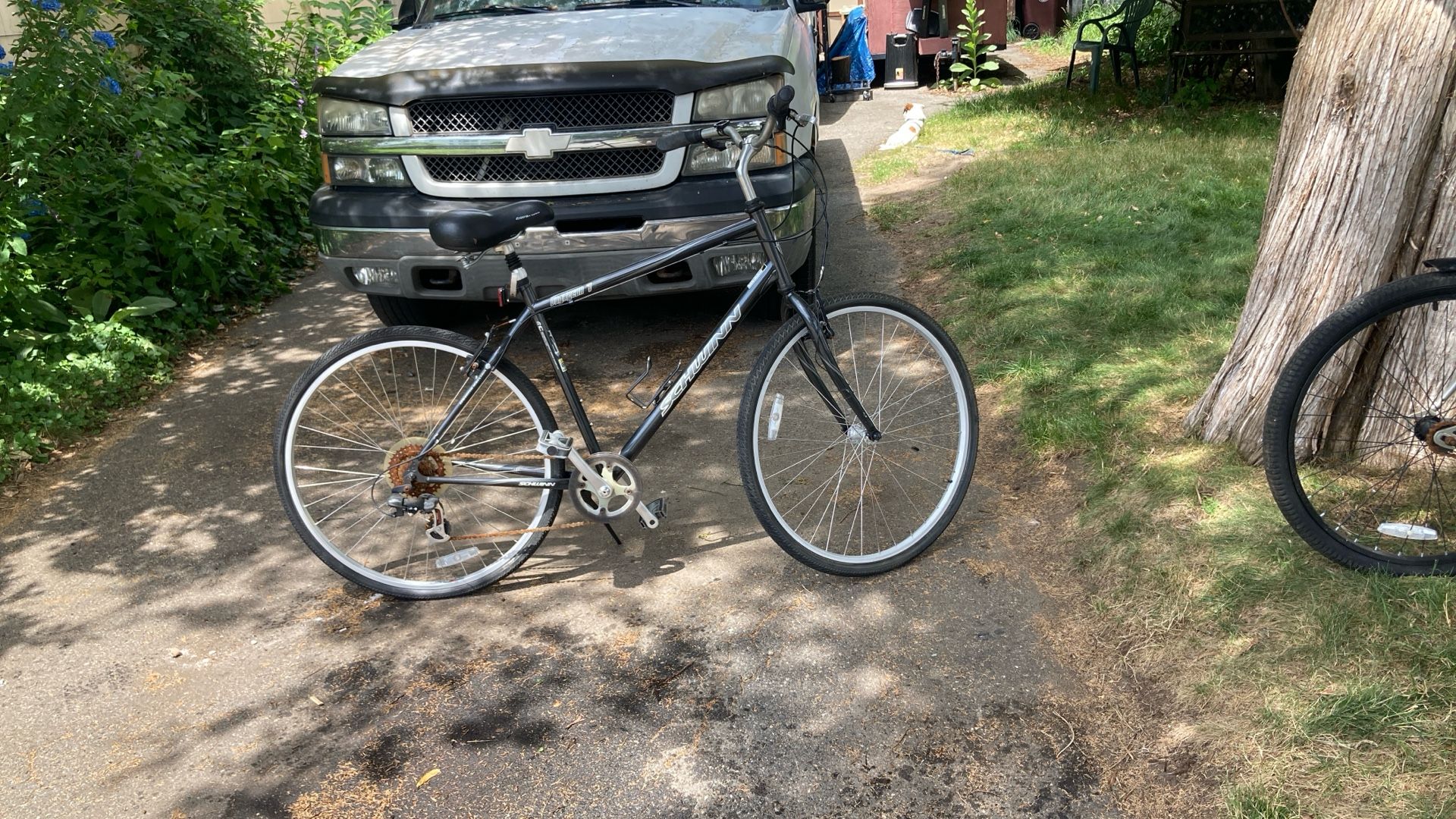 Schwinn 7 Speed Men’s Bicycle 26 Inch Bicycle