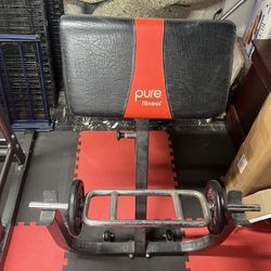 Preacher Curl Bench
