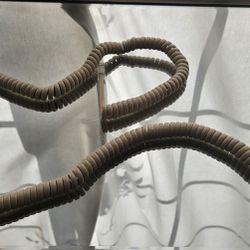 Vintage Cream Coiled Telephone Cord