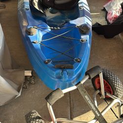 2 Person Paddle Boat 