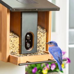 New Solar Smart Bird Feeder. Sells at Costco for $110 plus tax.