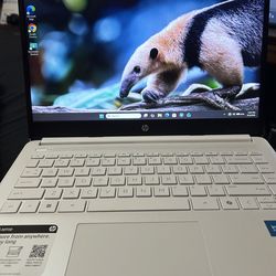 Hp laptop windows 11