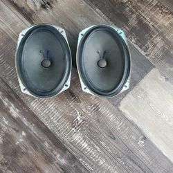 Delco Bose 6x9 Speakers