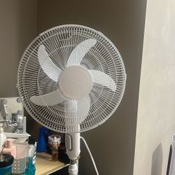 medium fan 