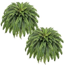 Artificial Ferns UV Resistant Faux Plants for Outdoor Decor Set of 2