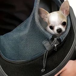 Small Pet Carrier 