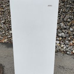 Stand Up Freezer