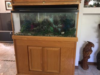 Fish Tank