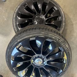Brand New 21" Performance Model Y Tires With OEM Rims.