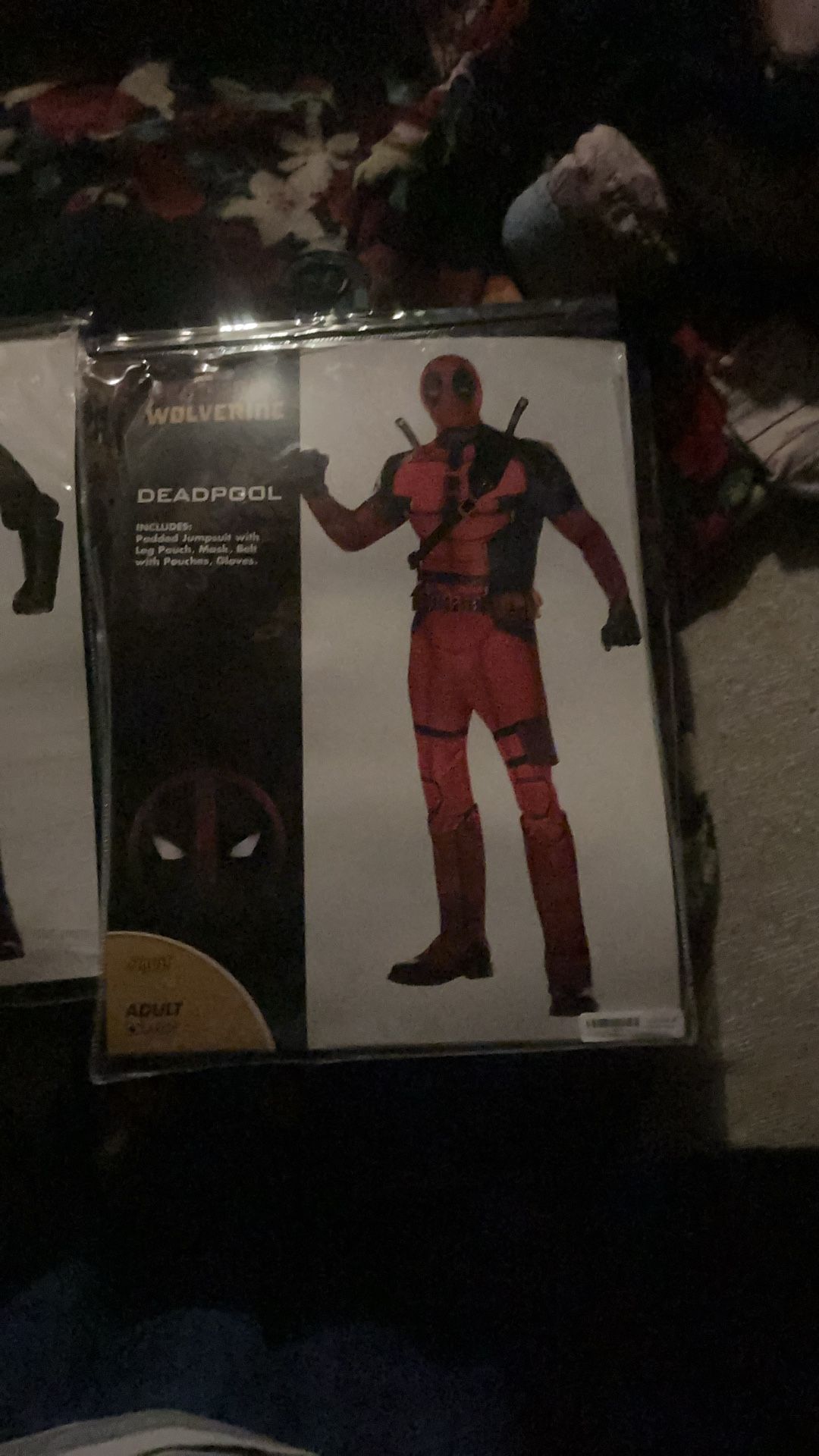 Halloween Costumes 1 For 45