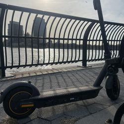 Segway Ninebot G30 Escooter 