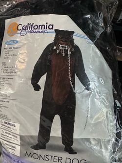 California costumes Large 10-12 kids costume.