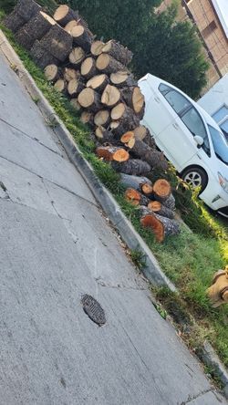 Fire Wood Firewood Tree Trunks FREE