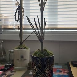 Organic Bamboo Jewelry Holder 
