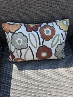 2  CUTE OUTDOOR PILLOWS 