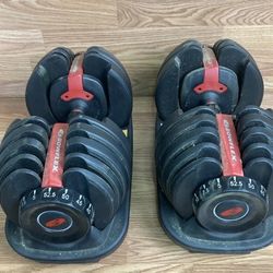 Bowflex SelectTech Adjustable Dumbbells 