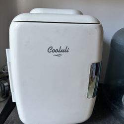 Mini Fridge 