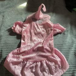 Costume  Perrita  Chiquita 