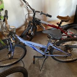 Treck  Bike Blue 