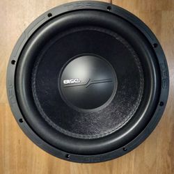 DS18 ZR 12" 2D Subwoofer