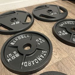 BRAND NEW Full Set Of Cast Iron Weight Plates  from 5s to 45s [Total: 245 lbs] 