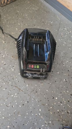 Echo Eforce 56v battery charger