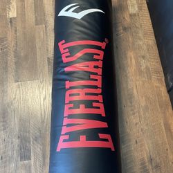 Everlast Punching Bag 103 Lbs.