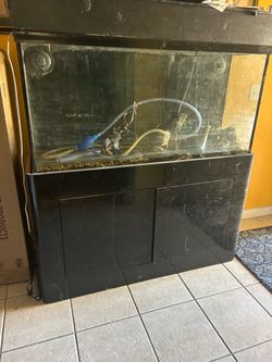 Aquarium