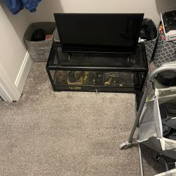 20 Gallon Fish/Lizard Tank