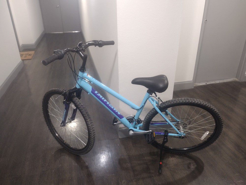 Nishiki Bicycle 