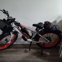 Bicicleta Eléctrica 