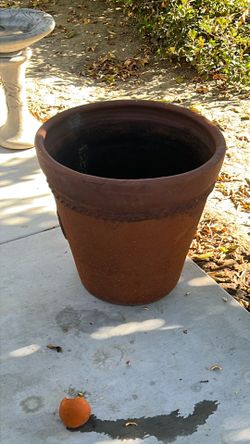 Terracotta planter