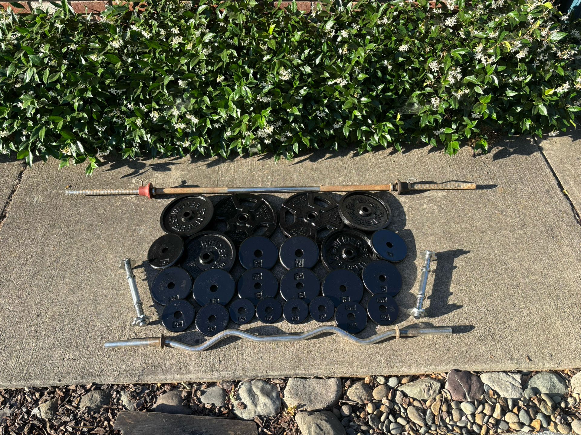 Standard 1” Weight Set 160lbs+6ft Barbell+EZ Curl Bar+(2)Adj. Dumbbells