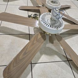 Ceiling Fans