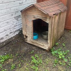 Dog House 