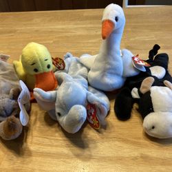 The Beanie Babies Collection